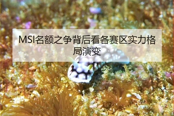 ming-e-zhi-zheng-bei-hou-kan-ge-sai-qu-shi-li-ge-ju-yan-bian-2-716.jpg