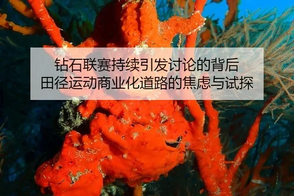 钻石联赛持续引发讨论的背后 田径运动商业化道路的焦虑与试探