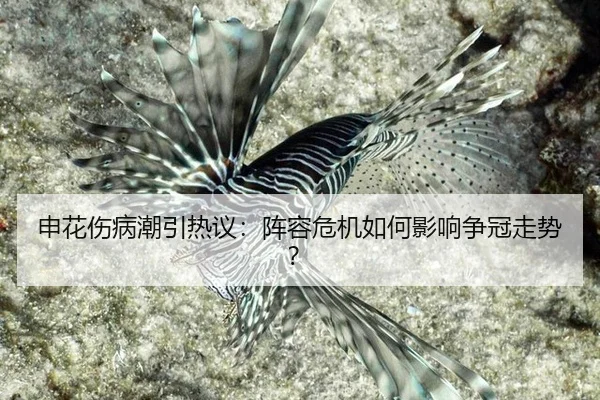 shen-hua-shang-bing-chao-yin-re-yi-zhen-rong-wei-ji-ru-he-ying-xiang-zheng-guan-zou-shi-2-870.jpg