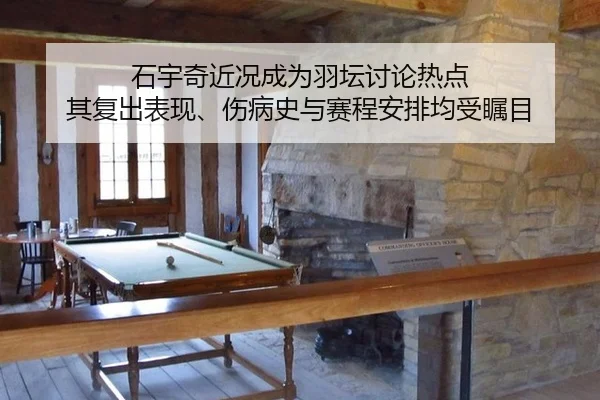 石宇奇近况成为羽坛讨论热点 其复出表现、伤病史与赛程安排均受瞩目
